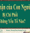 Số phận đời người bị chi phối bởi những gì?