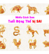 Có nhiều cách "Xem tuổi động thổ xây nhà” bị SAI.  Chọn cách tính tuổi tốt xây nhà nào trong năm 2023