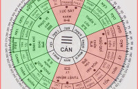 Nam sinh năm 1958 tuổi mậu tuất Xem phong thủy hướng nhà ở tốt hợp