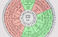 Nam sinh năm 1991 tuổi tân mùi Xem phong thủy hướng nhà ở tốt hợp