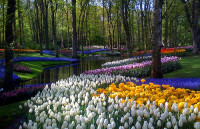 Vườn hoa nghệ thuật đẹp Mẫu tiểu cảnh 3