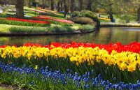 Vườn hoa nghệ thuật đẹp Mẫu tiểu cảnh 5