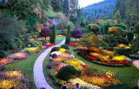 Vườn hoa nghệ thuật đẹp Mẫu tiểu cảnh 2