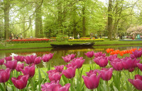 Vườn hoa nghệ thuật đẹp Mẫu tiểu cảnh 6