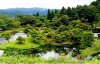 Hồ cá cảnh đẹp Sân vườn nghệ thuật Ảnh 1