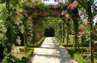 Tiểu cảnh đẹp Sân vườn nghệ thuật Ảnh 6