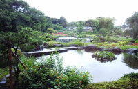 Hồ cá cảnh đẹp Sân vườn nghệ thuật Ảnh 6