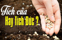 Bài 10: Căn bản của người đi trên đường Đạo để tìm một lối Tu thân hợp lý