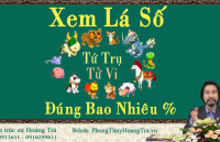 Xem lá số Tứ Trụ và Xem lá số Tử Vi đúng được bao nhiêu % ?
