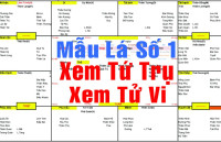 Mẫu lá số 1: Xem lá số Tứ Trụ kết hợp xem lá số Tử Vi
