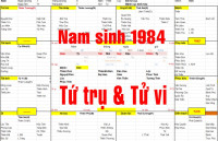 Nam sinh năm 1984 tuổi Giáp Tý, Xem lá số Tử Vi kết hợp Xem Tứ Trụ