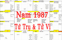 Nam sinh năm 1987 tuổi Đinh Mão, Xem Tử Vi 1987, Xem Tứ Trụ 1987, Xem màu sắc hợp 1987