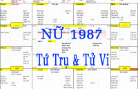 Nữ sinh năm 1987 tuổi Đinh Mão, Xem Tử Vi 1987, Xem Tứ Trụ 1987, Bát tự nam 1987, Xem màu sắc hợp 1987