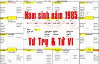 Nam sinh năm 1985 tuổi Ất Sửu, Xem Tử Vi 1985, Xem Tứ Trụ 1985, Xem màu sắc hợp 1985