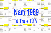 Xem tứ trụ Nam 1989, Tử vi Nam sinh năm 1989 tuổi Kỷ Tị, Bát tự nam 1989, Xem màu sắc hợp 1989