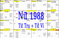 Xem tứ trụ Nữ 1988, Tử vi Nữ sinh năm 1988 tuổi Mậu thìn, Bát tự nữ 1988, Xem màu sắc hợp 1988