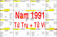 Xem Tứ Trụ Nam 1991, Nam sinh năm 1991 tuổi Tân Mùi, Xem Tử Vi 1991, Bát tự Nam 1991, Xem màu sắc hợp 1991