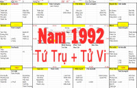 Xem Tứ Trụ Nam 1992, Xem Tử Vi nam 1992, Xem màu sắc hợp nam 1992, Bát tự Nam 1992, Nam sinh năm 1992 tuổi Nhâm thân