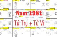 Xem Tứ Trụ Nam 1981, Xem Tử Vi Nam 1981, Xem màu sắc hợp nam 1981, Bát tự Nam 1981, Nam sinh năm 1981 tuổi Tân Dậu