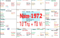 Xem Tứ Trụ Nam 1972, Xem Tử Vi Nam 1972, Xem màu sắc hợp nam 1972, Bát tự Nam 1972, Nam sinh năm 1972 tuổi Nhâm Tý