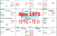 Xem Tứ Trụ Nam 1975, Xem Tử Vi Nam 1975, Xem màu sắc hợp nam 1975, Bát tự Nam 1975, Nam sinh năm 1975 tuổi Ất Mão