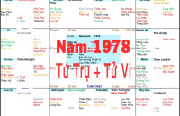 Xem Tứ Trụ Nam 1978, Xem Tử Vi Nam 1978, Xem màu sắc hợp nam 1978, Bát tự Nam 1978, Nam sinh năm 1978 tuổi Mậu Ngọ