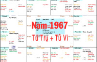 Xem Tứ Trụ Nam 1967, Xem Tử Vi Nam 1967, Xem màu sắc hợp nam 1967, Bát tự Nam 1967, Nam sinh năm 1967 tuổi Đinh Mùi