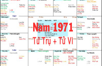 Xem Tứ Trụ Nam 1971, Xem Tử Vi Nam 1971, Xem màu sắc hợp nam 1971, Bát tự Nam 1971, Nam sinh năm 1971 tuổi Tân Hợi