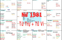 Xem Tứ Trụ Nữ 1981, Xem Tử Vi Nữ 1981, Xem màu sắc hợp Nữ 1981, Bát tự Nữ 1981, Nữ sinh năm 1981 tuổi Tân Dậu