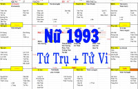 Xem Tứ Trụ Nữ 1993, Xem Tử Vi nữ 1993, Xem màu sắc hợp nữ 1993, Bát tự Nữ 1993, Nữ sinh năm 1993 tuổi Quý Dậu
