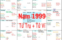 Xem Tứ Trụ Nam 1999, Xem Tử Vi Nam 1999, Xem màu sắc hợp nam 1999, Bát tự Nam 1999, Nam sinh năm 1999 tuổi Kỷ Mão