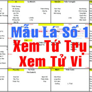 Luận Bàn Về Xem Lá Số Tử Vi Và Xem Lá Số Tứ Trụ