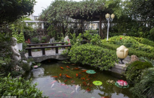 Xem phong thủy Hồ nước-Non bộ-Bể cá-Cây cảnh