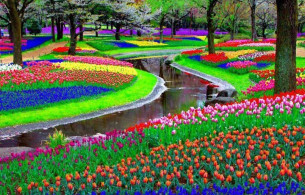 Vườn hoaVườn hoa nghệ thuật đẹp Mẫu tiểu cảnh 1