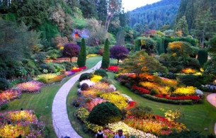 Vườn hoa nghệ thuật đẹp Mẫu tiểu cảnh 2