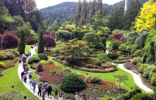 Vườn hoa nghệ thuật đẹp Mẫu tiểu cảnh 7