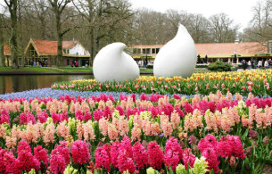 Vườn hoa nghệ thuật đẹp Mẫu tiểu cảnh 8