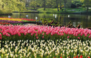 Vườn hoa nghệ thuật đẹp Mẫu tiểu cảnh 10