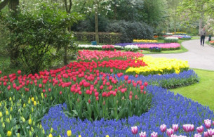 Vườn hoa nghệ thuật đẹp Mẫu tiểu cảnh 9