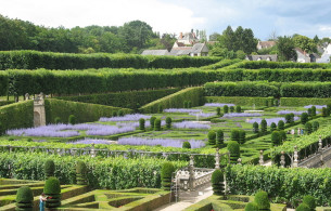 Tiểu cảnh đẹp Sân vườn nghệ thuật Ảnh 4