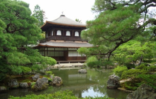 Hồ cá cảnh đẹp Sân vườn nghệ thuật Ảnh 2