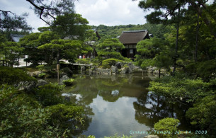 Hồ cá cảnh đẹp Sân vườn nghệ thuật Ảnh 3