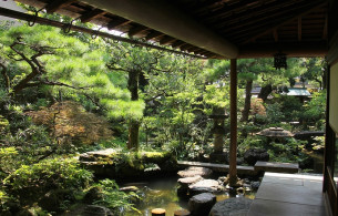 Tiểu cảnh đẹp hồ cá nghệ thuật Ảnh 1