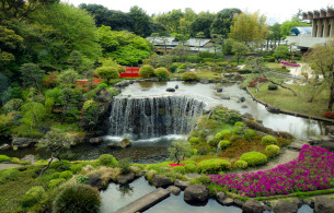 Thác nước nghệ thuật Tiểu cảnh đẹp Ảnh 1