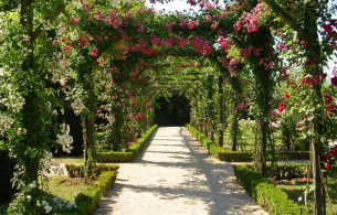 Tiểu cảnh đẹp Sân vườn nghệ thuật Ảnh 6