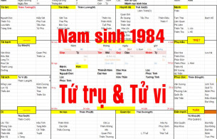 Nam sinh năm 1984 tuổi Giáp Tý, Xem lá số Tử Vi kết hợp Xem Tứ Trụ