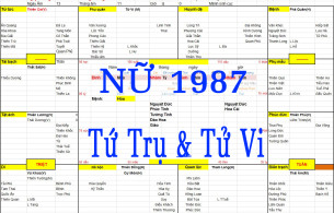 Nữ sinh năm 1987 tuổi Đinh Mão, Xem Tử Vi 1987, Xem Tứ Trụ 1987, Bát tự nam 1987, Xem màu sắc hợp 1987