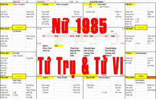 Nữ sinh năm 1985 tuổi Ất Sửu, Xem Tử Vi 1985, Xem Tứ Trụ 1985, Xem màu sắc hợp