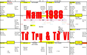 Nam sinh năm 1986 tuổi Bính Dần, Xem Tử Vi 1986, Xem Tứ Trụ 1986, Xem màu sắc hợp
