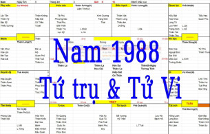Xem tứ trụ Nam 1988, Tử vi Nam sinh năm 1988 tuổi Mậu thìn, Bát tự nam 1988, Xem màu sắc hợp 1988